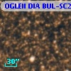 OGLEII DIA BUL-SC22   3393