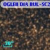 OGLEII DIA BUL-SC22   3663