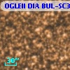OGLEII DIA BUL-SC34   4609