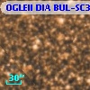 OGLEII DIA BUL-SC34   4810