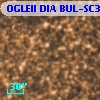 OGLEII DIA BUL-SC34   6690