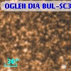 OGLEII DIA BUL-SC34   7493