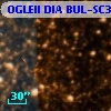 OGLEII DIA BUL-SC37     91