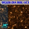 OGLEII DIA BUL-SC37    412