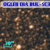 OGLEII DIA BUL-SC37    421