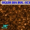 OGLEII DIA BUL-SC37    775