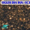 OGLEII DIA BUL-SC37    860