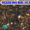 OGLEII DIA BUL-SC37   1085