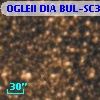 OGLEII DIA BUL-SC37   3291