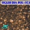 OGLEII DIA BUL-SC37   3311