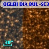 OGLEII DIA BUL-SC37   3394