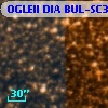 OGLEII DIA BUL-SC37   4041