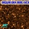 OGLEII DIA BUL-SC37   4392