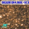 OGLEII DIA BUL-SC37   5190