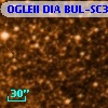 OGLEII DIA BUL-SC37   5248