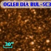 OGLEII DIA BUL-SC37   5579