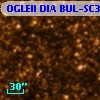 OGLEII DIA BUL-SC37   6331