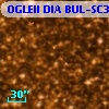 OGLEII DIA BUL-SC37   7302