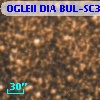 OGLEII DIA BUL-SC39    350