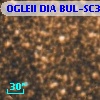 OGLEII DIA BUL-SC39    353