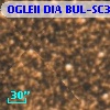 OGLEII DIA BUL-SC39    520
