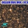 OGLEII DIA BUL-SC39    691