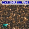OGLEII DIA BUL-SC39   1173