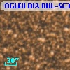 OGLEII DIA BUL-SC39   1895