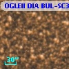OGLEII DIA BUL-SC39   1897