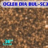OGLEII DIA BUL-SC39   2518