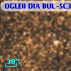OGLEII DIA BUL-SC39   3004