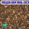 OGLEII DIA BUL-SC39   3392