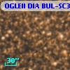 OGLEII DIA BUL-SC39   3631