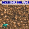 OGLEII DIA BUL-SC39   3891