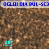 OGLEII DIA BUL-SC39   4696