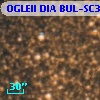 OGLEII DIA BUL-SC39   5560