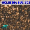 OGLEII DIA BUL-SC39   5571