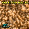 2MASS J17552142-2926365