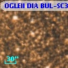 OGLEII DIA BUL-SC39   6091