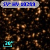 SV* HV 10289