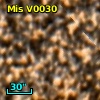V* V1261 Sco