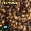 V* V1266 Sco