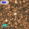 HD 164195