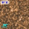 V* V2504 Sgr