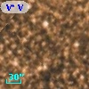 V* V2503 Sgr