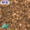 V* V2500 Sgr