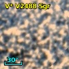 V* V2488 Sgr