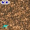 V* V2482 Sgr