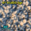 V* V1403 Sgr