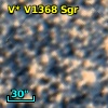 V* V1368 Sgr